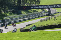 brands-hatch-photographs;brands-no-limits-trackday;cadwell-trackday-photographs;enduro-digital-images;event-digital-images;eventdigitalimages;no-limits-trackdays;peter-wileman-photography;racing-digital-images;trackday-digital-images;trackday-photos